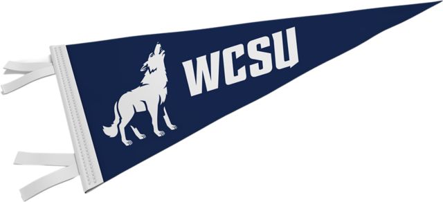 Western Connecticut State University Wolves 9'' x 24'' Pennant