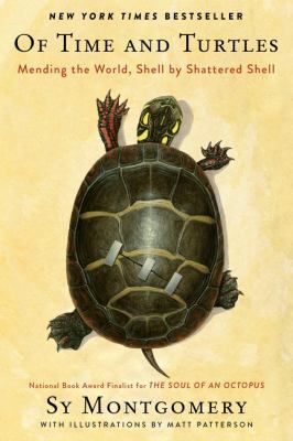 OF TIME AND TURTLES