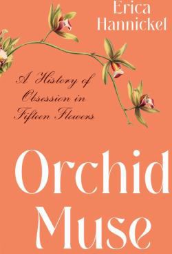 Orchid Muse