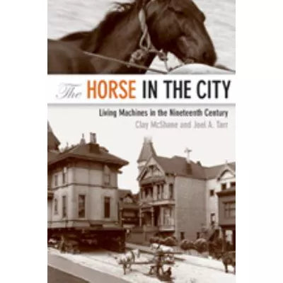 Horse in the City
