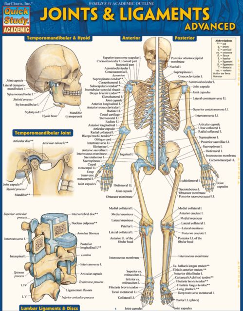 JOINTS & LIGAMENTS ADVANCED