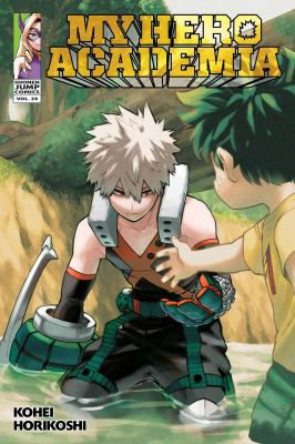MY HERO ACADEMIA VOL 29